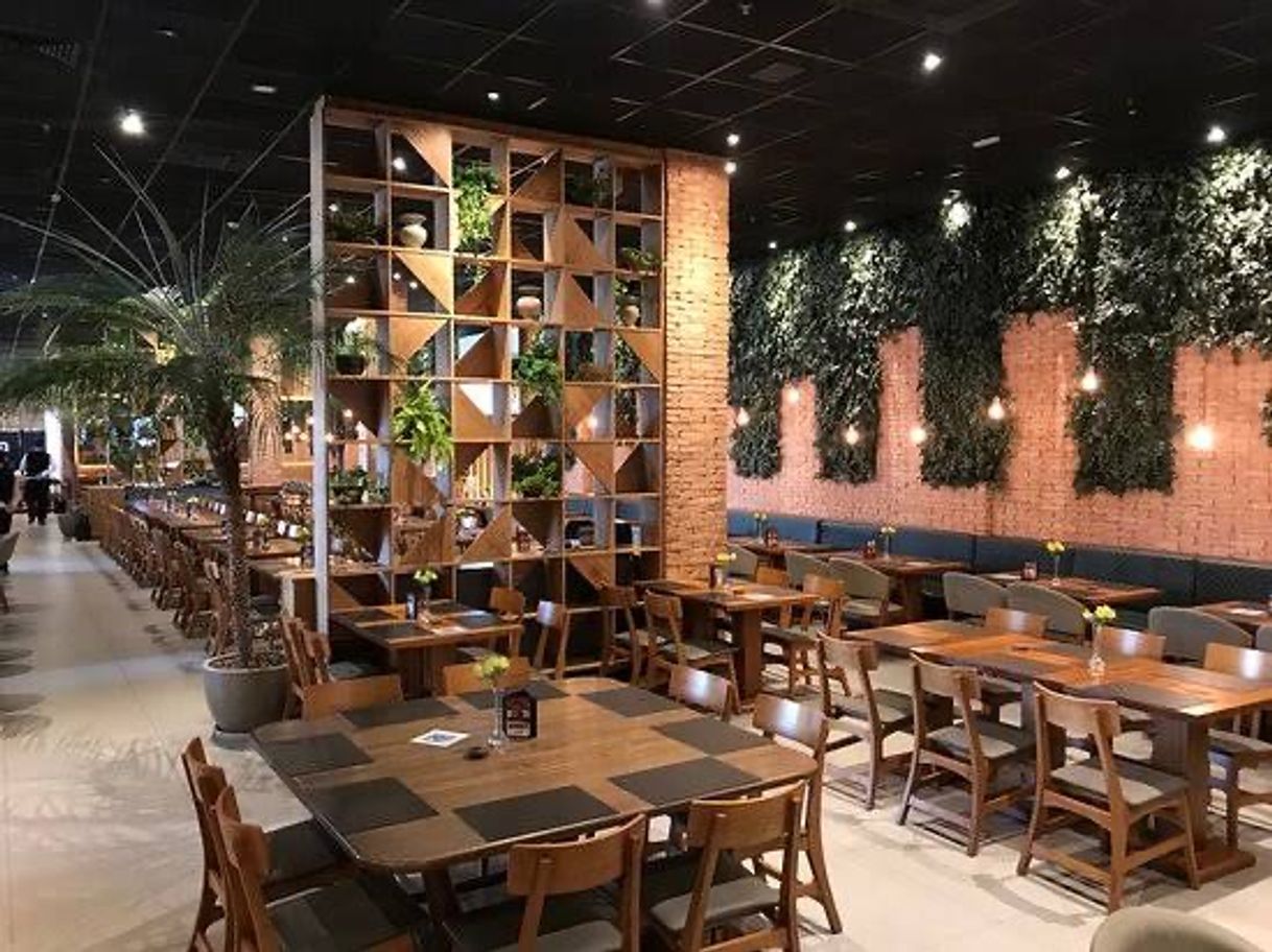 Restaurants Coco Bambu Conceito BH Shopping