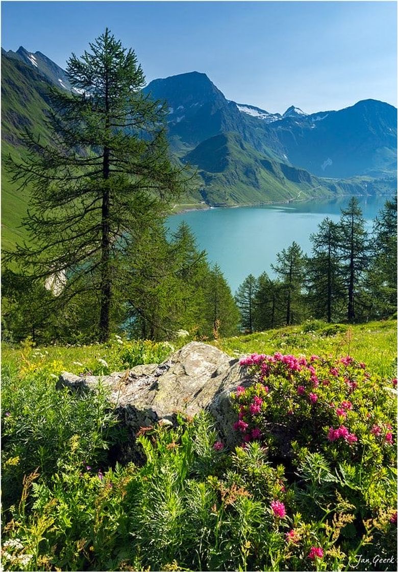 Moda Alpes suíços ✈️