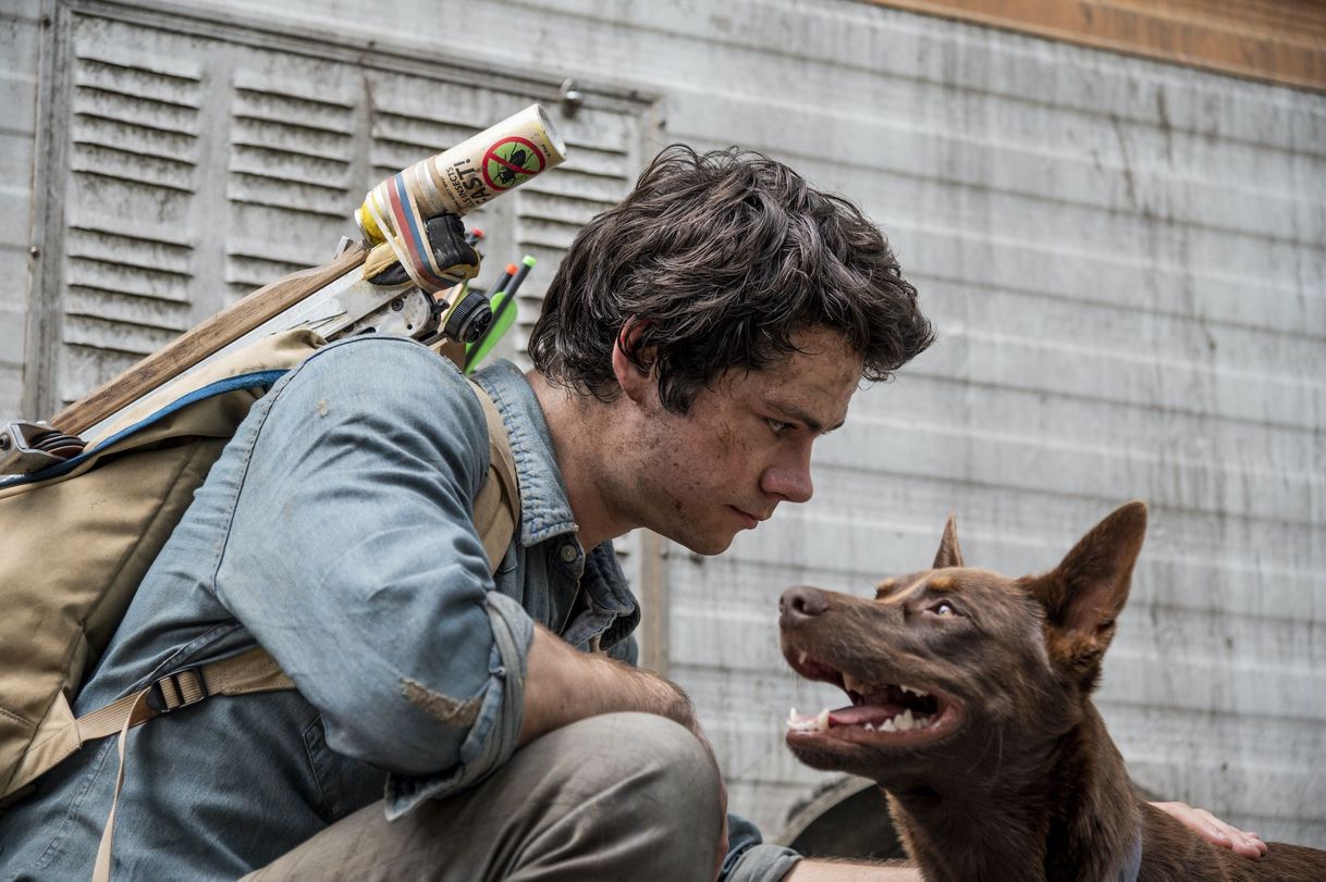 Movie De amor y monstruos