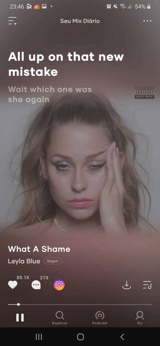 Music Leyla blue- What a shame