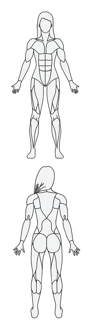 Social MuscleWiki