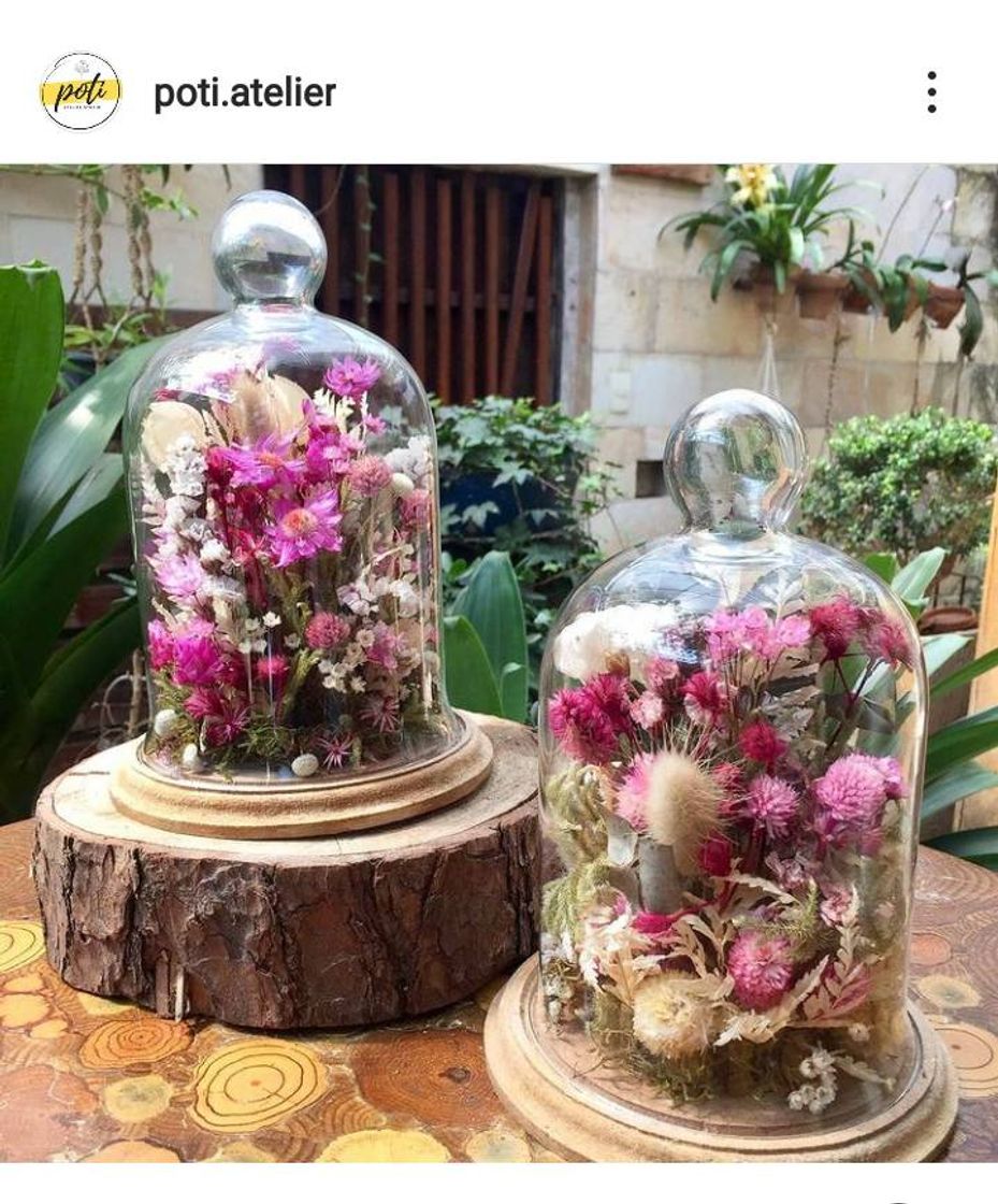 Social 🌷