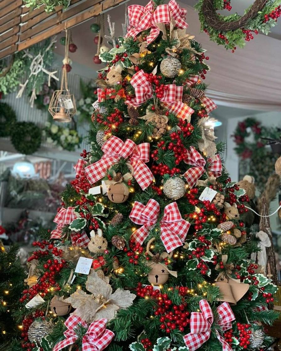 Social Árvore de Natal 🎄