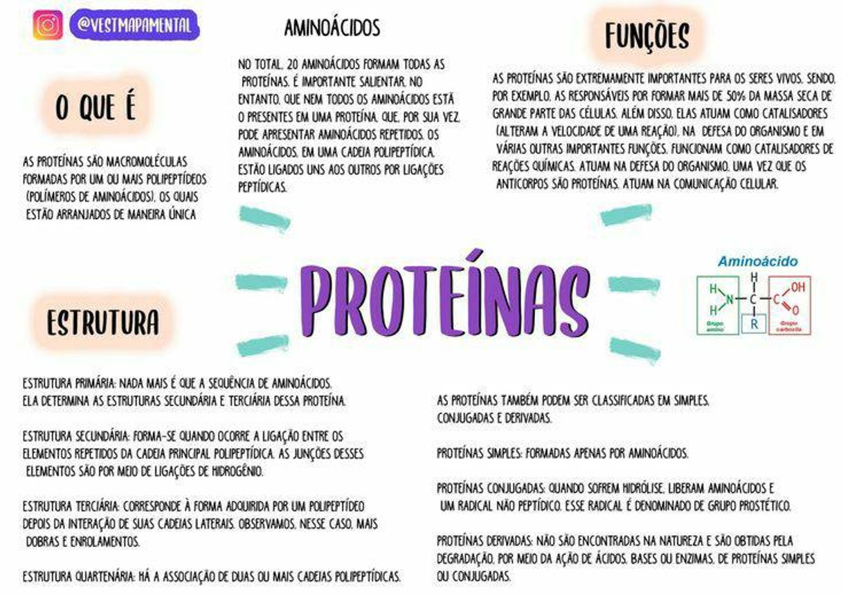 Moda proteínas 