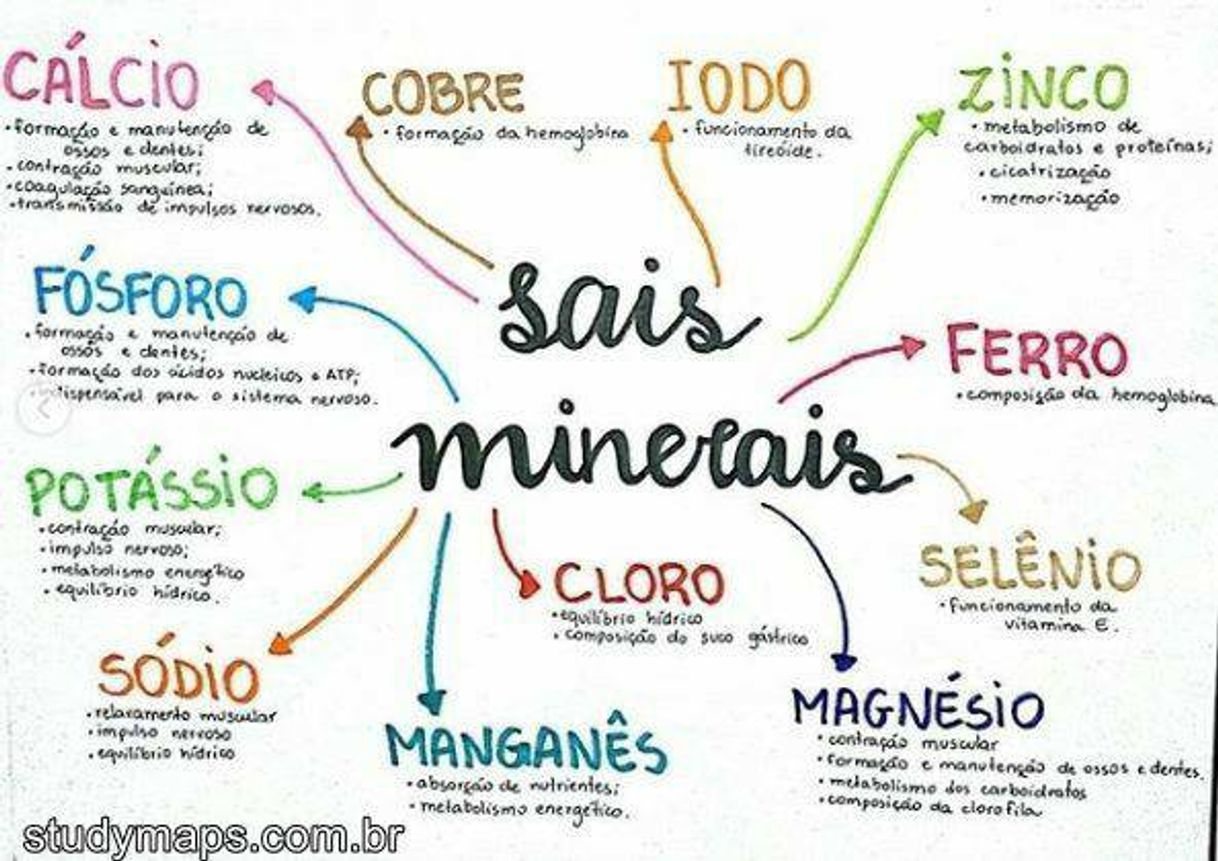 Moda sais minerais 