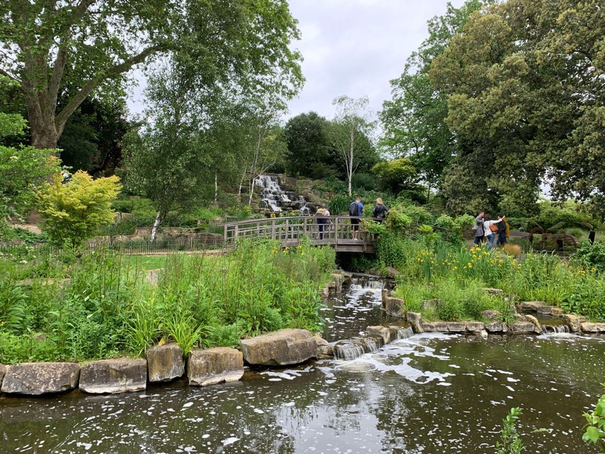 Lugar Regents Park