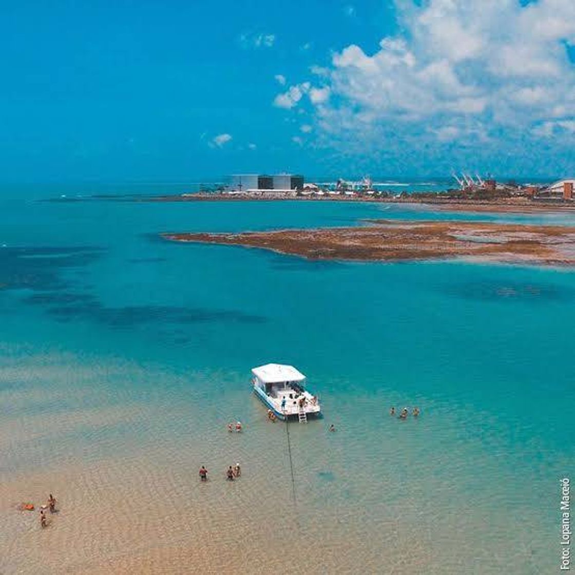 Lugar Piscinas Naturais de Pajuçara