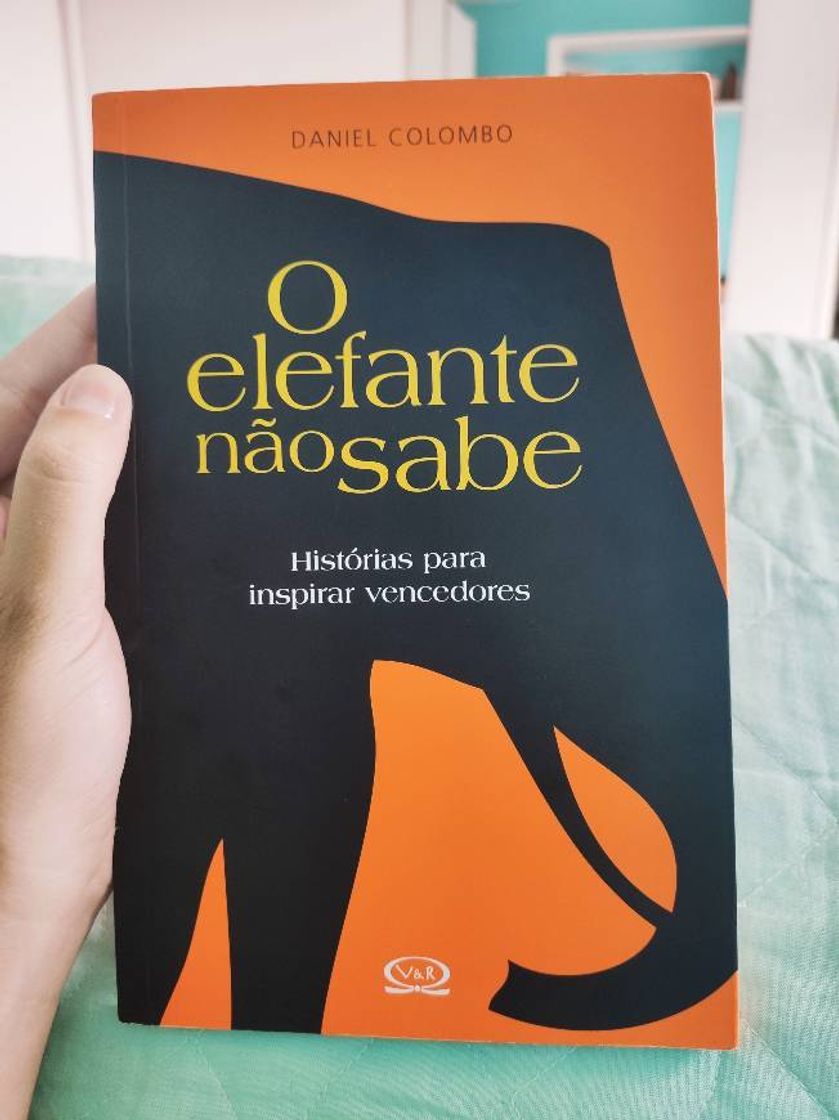 Fashion O elefante não sabe: Histórias para inspirar vencedores