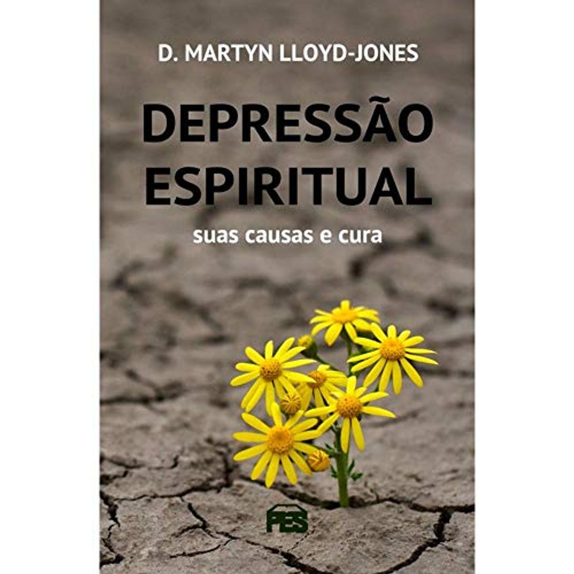 Book Depressão Espiritual