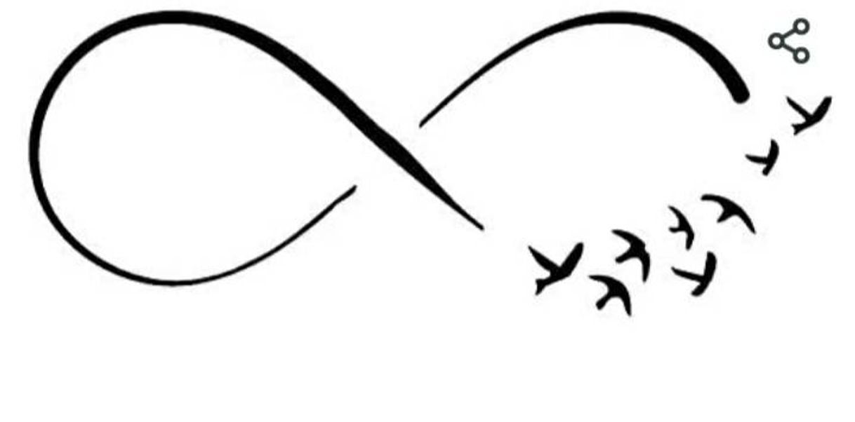 Moda BooDecal Infinity Symbol Peace Doves Transverse ... - Amazon.com