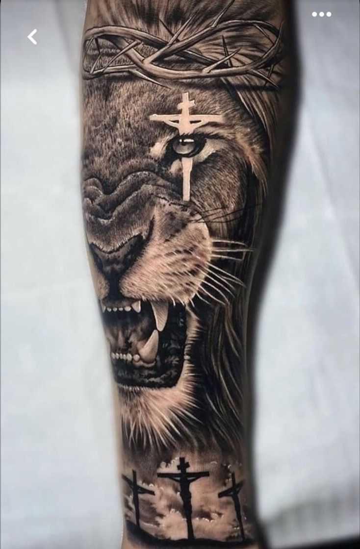 Moda Leão 🦁 pra quem gosta❤️