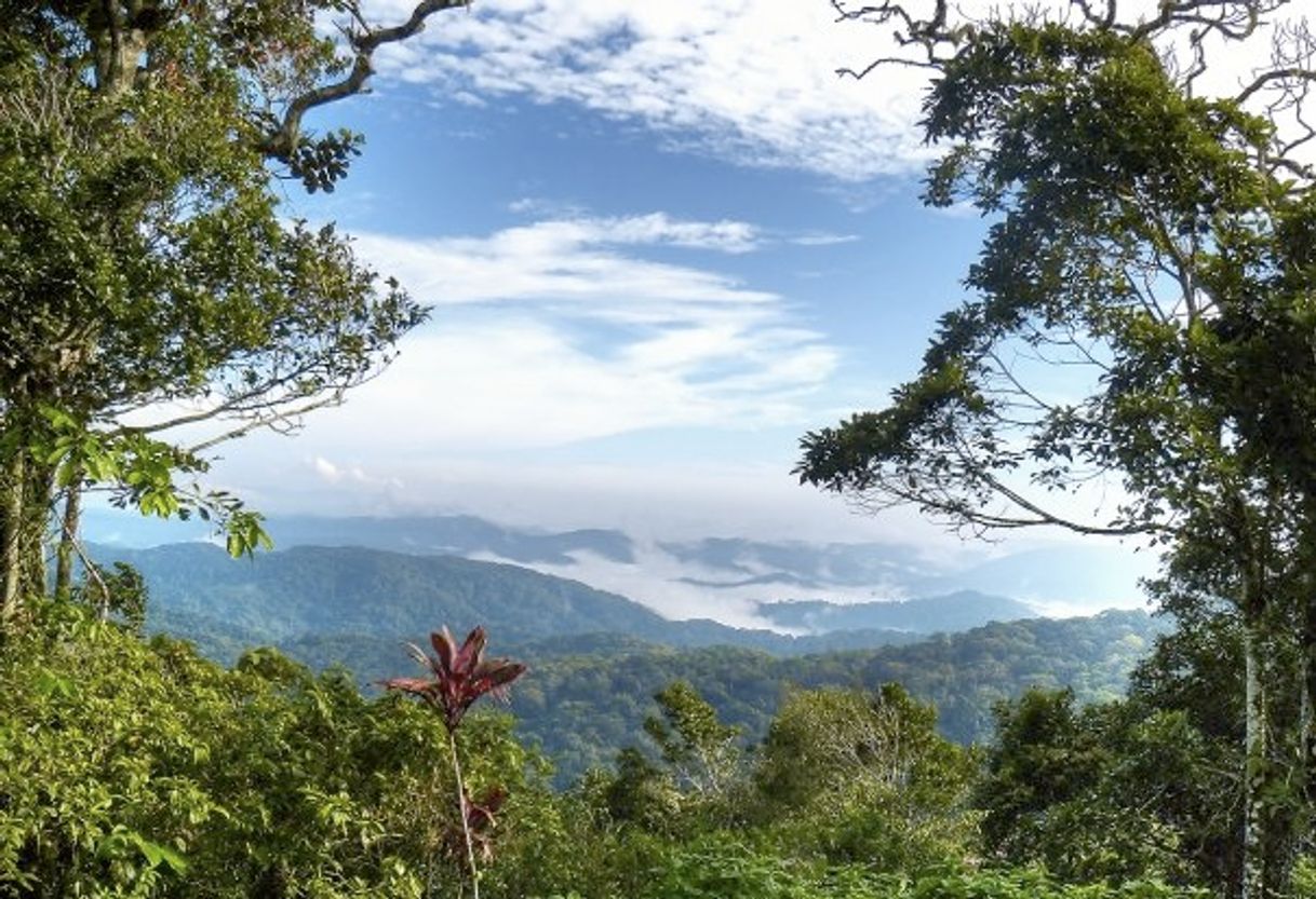 Lugar Cerro Azul