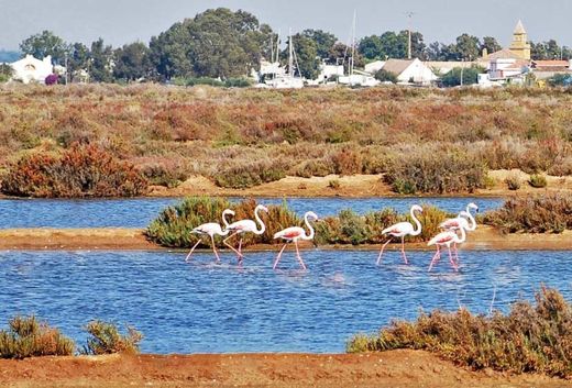 Ria Formosa Natural Park