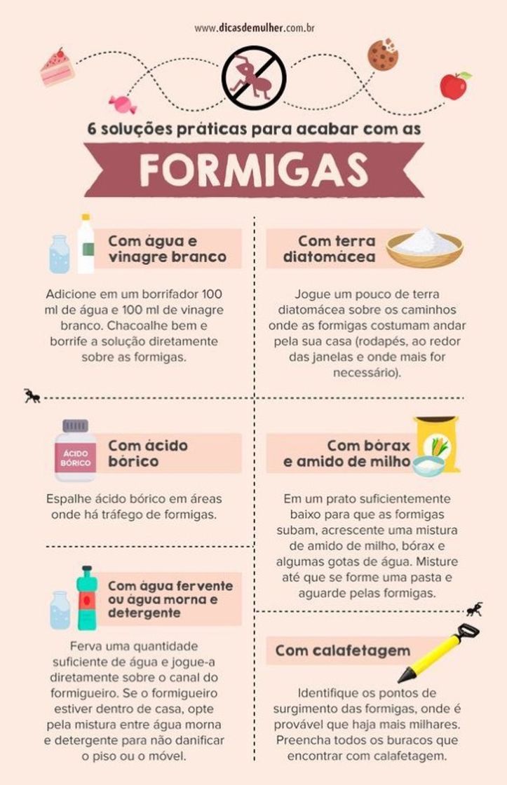 Social DICA 1
