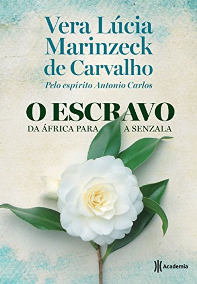 Book O escravo. Da África para a senzala