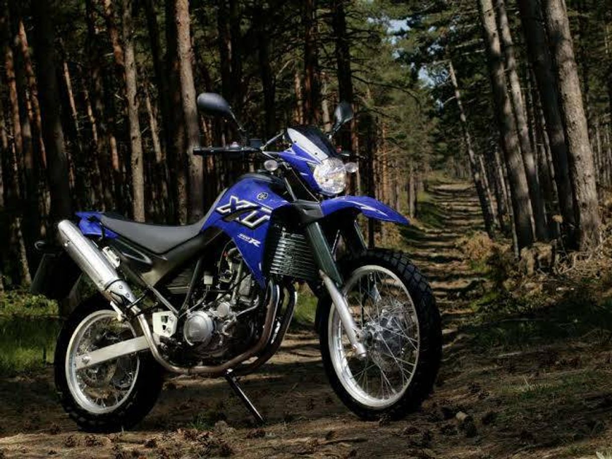 Social Xt 660🚀