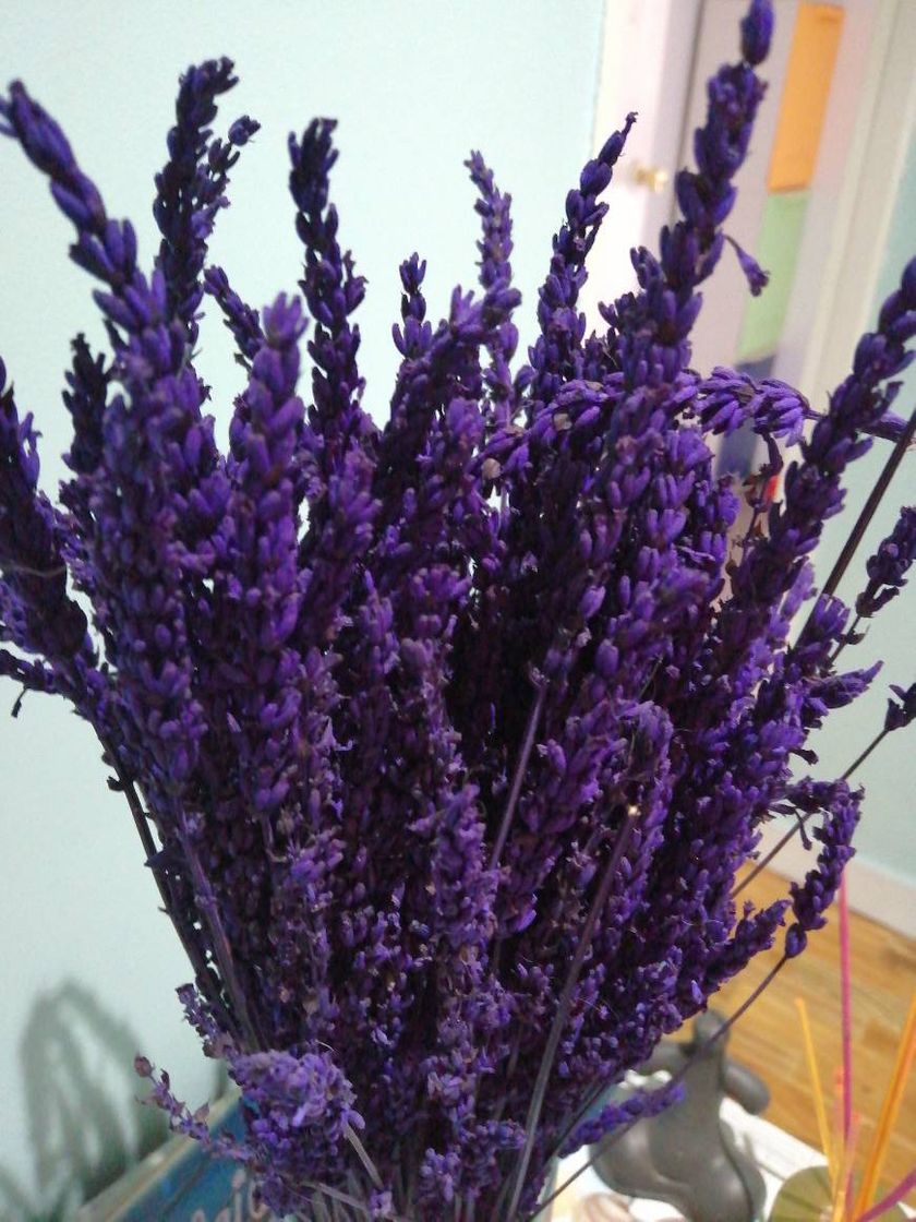 Productos Flores lavanda naturales 