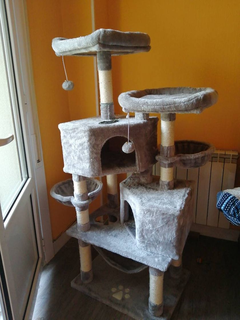 Productos Torre para gatos con rascador