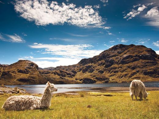 Parque Nacional Cajas