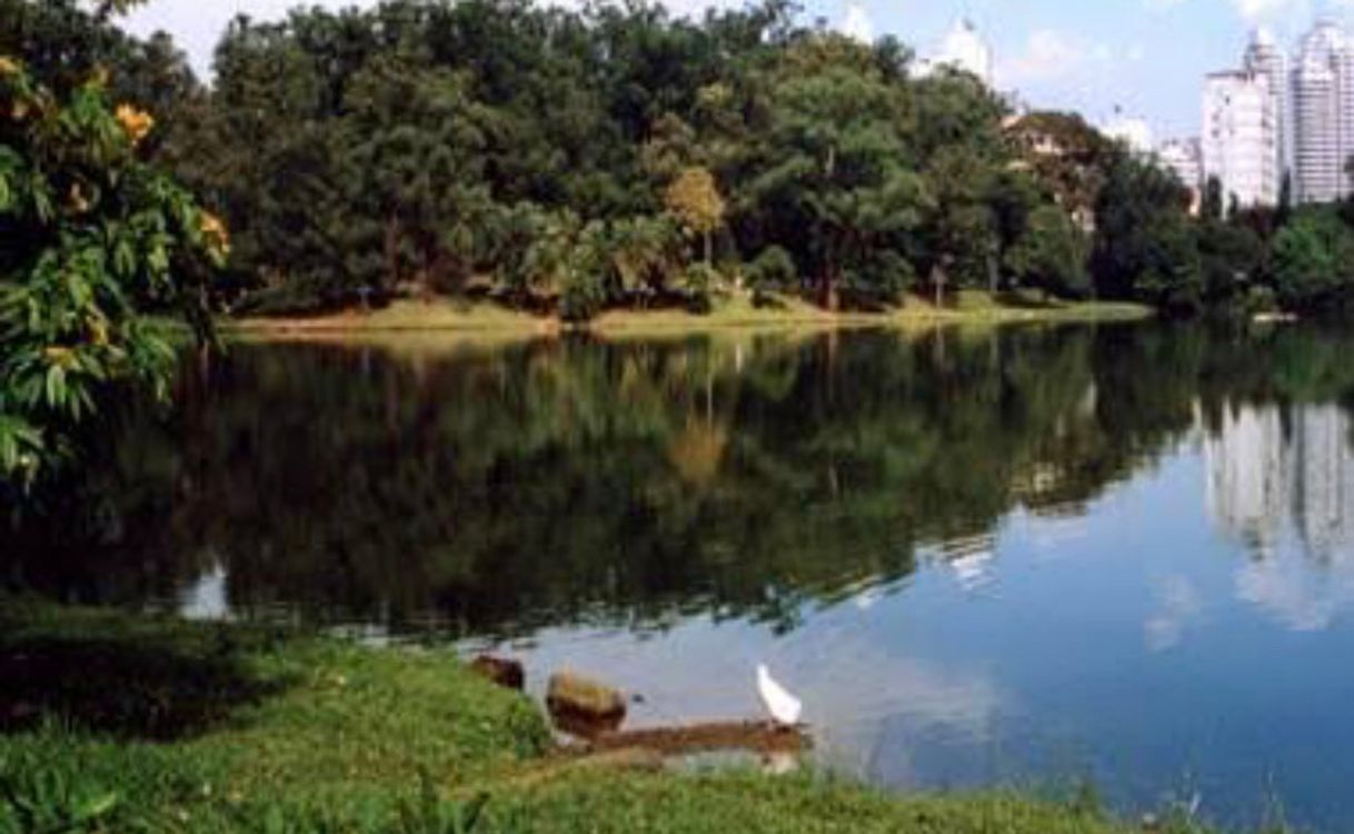 Place Parque Aclimação