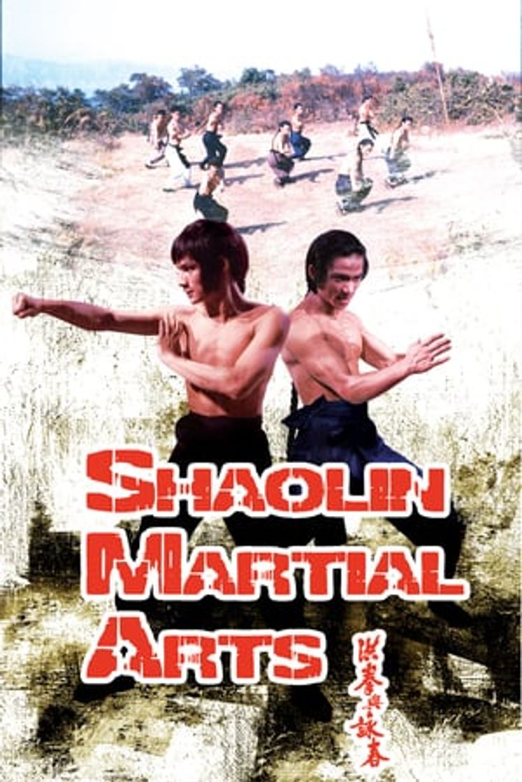 Movie Shaolin Martial Arts