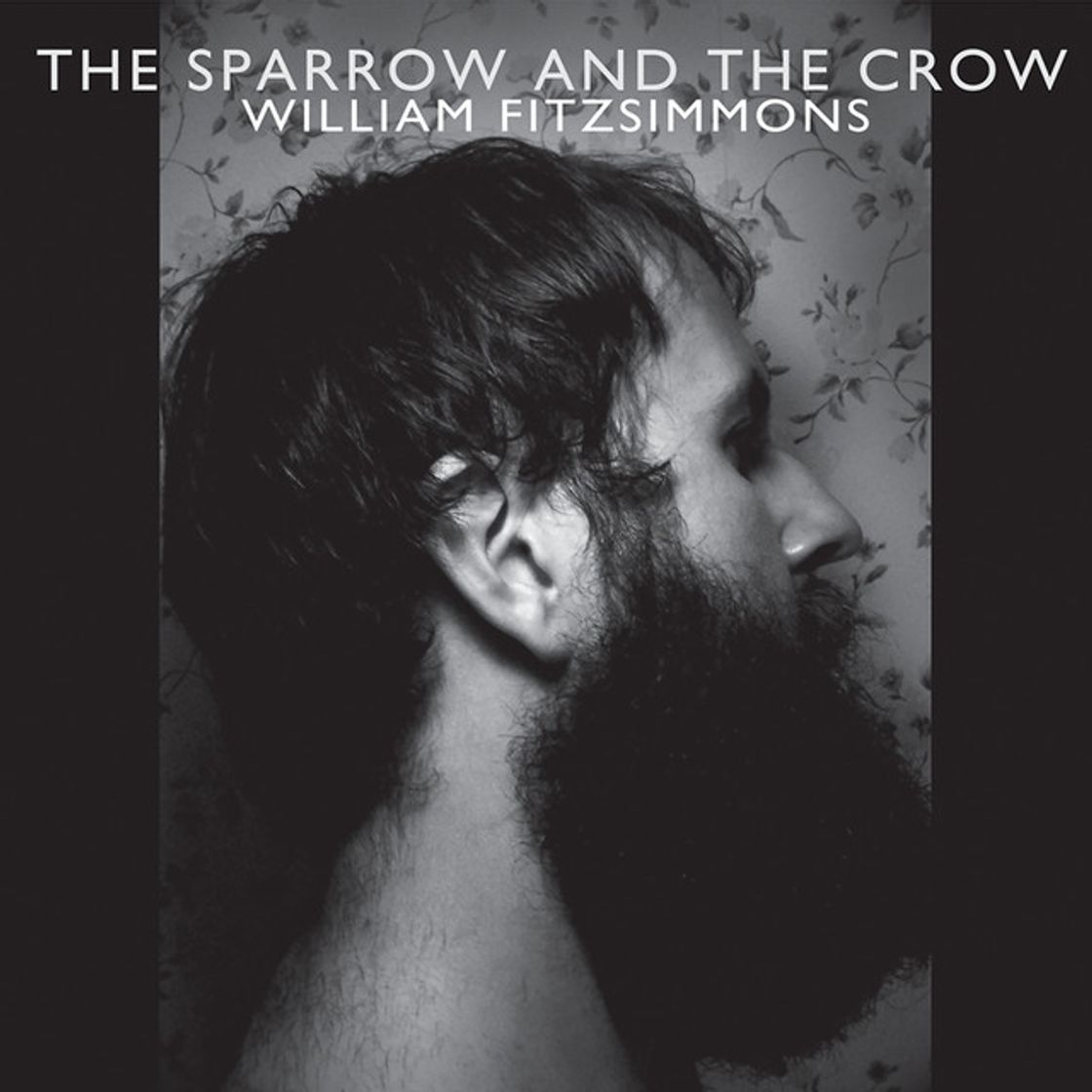 Music I Don't Feel It Anymore (Song Of The Sparrow)