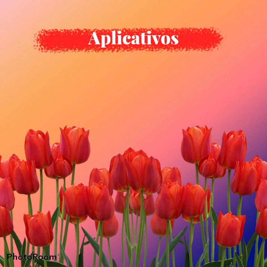 Social Nina Della Rosa (@nina_dellarosa) • Instagram photos and videos