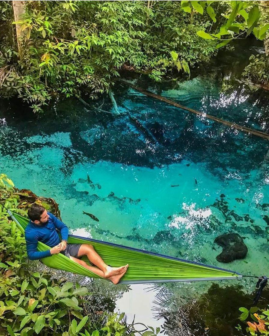 Lugares Aquário Encantado