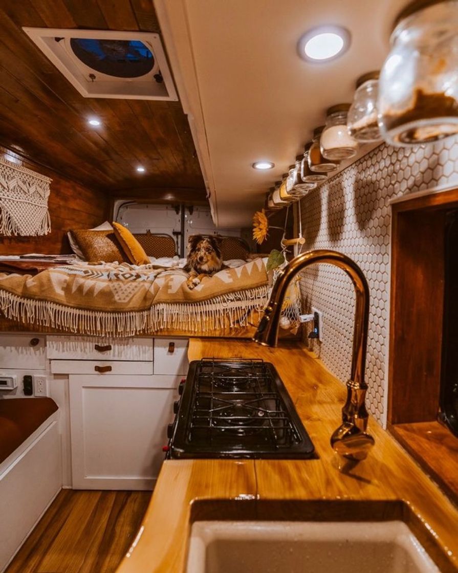 Fashion motorhome 