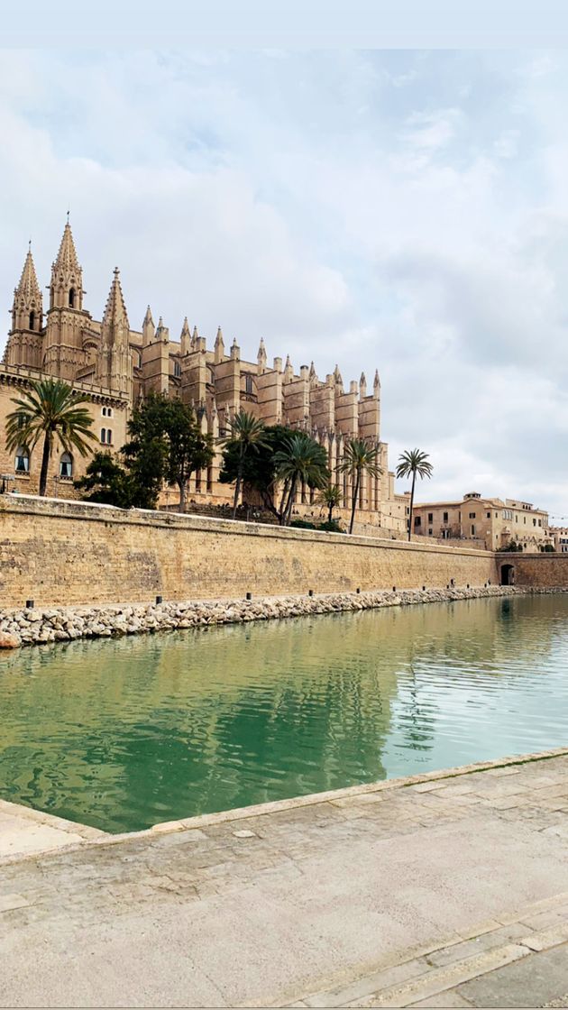 Lugar Catedral-Basílica de Santa María de Mallorca