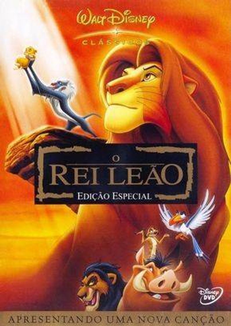 Social Rei Leão 🦁