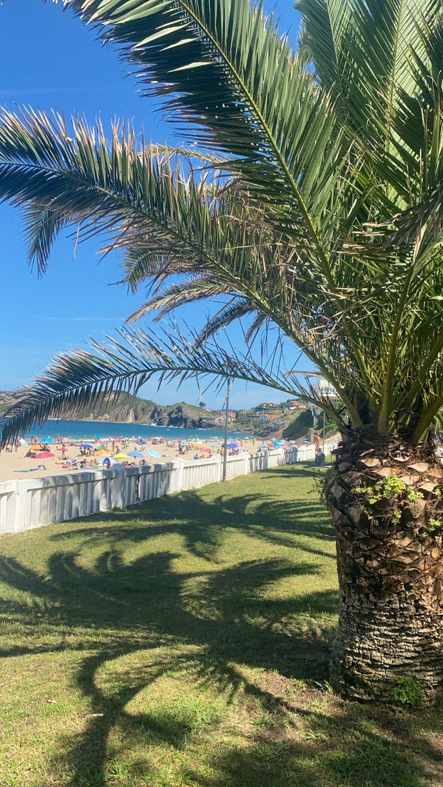 Place Playa de Comillas