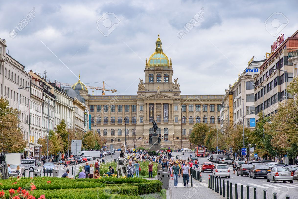 Lugar Národní muzeum