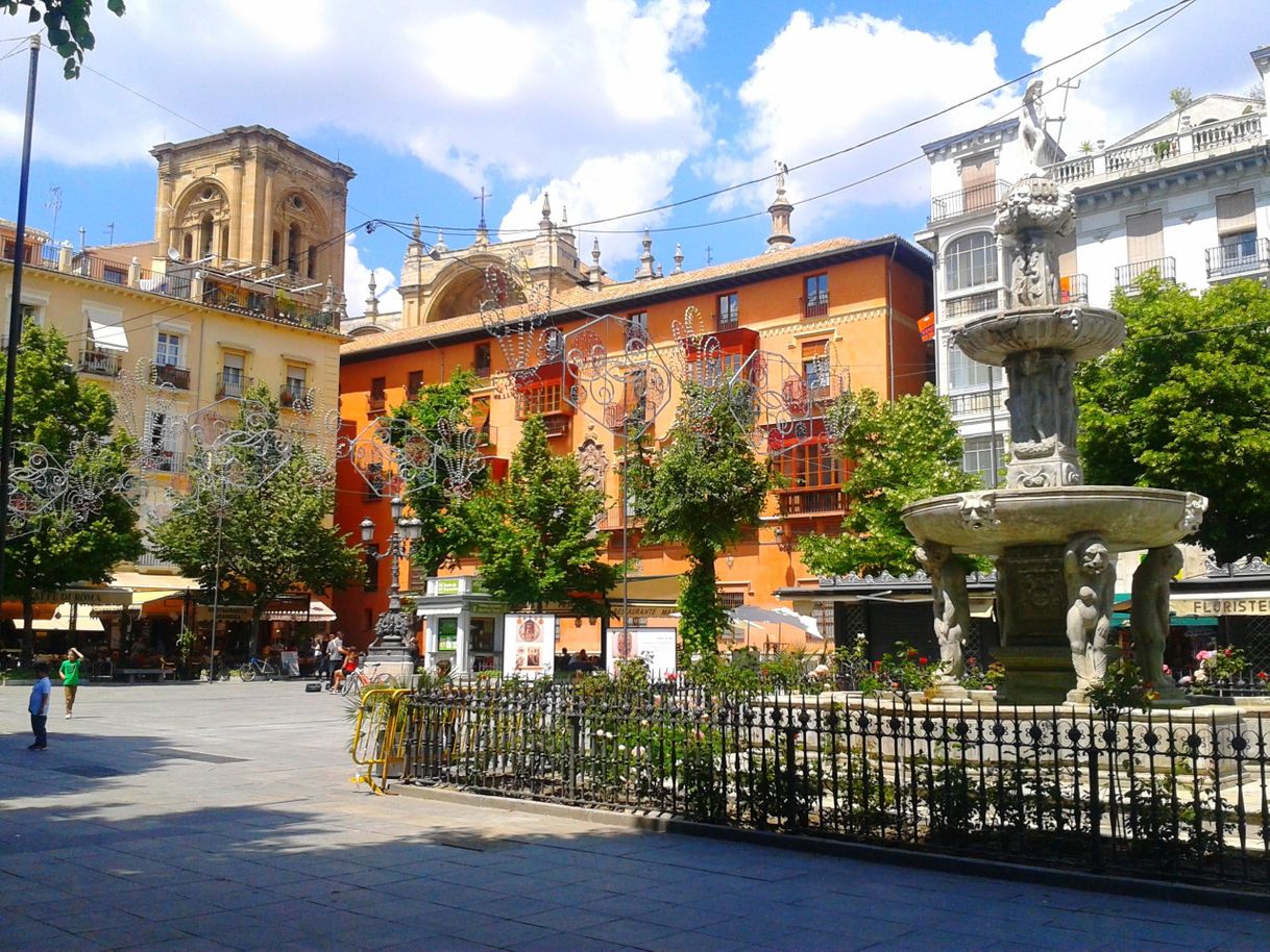 Place Plaza de Bib-Rambla