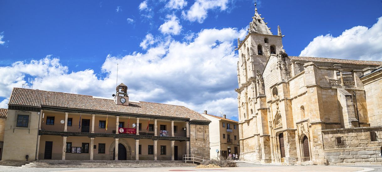 Place Torrelaguna