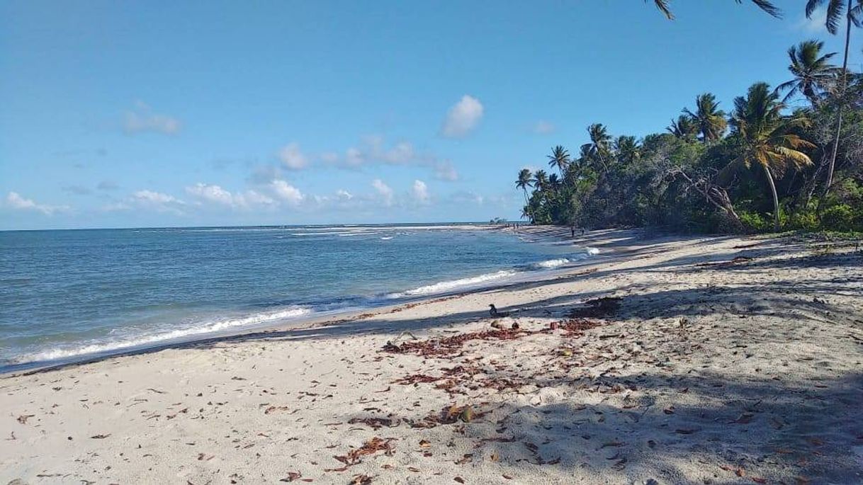 Lugar Boipeba