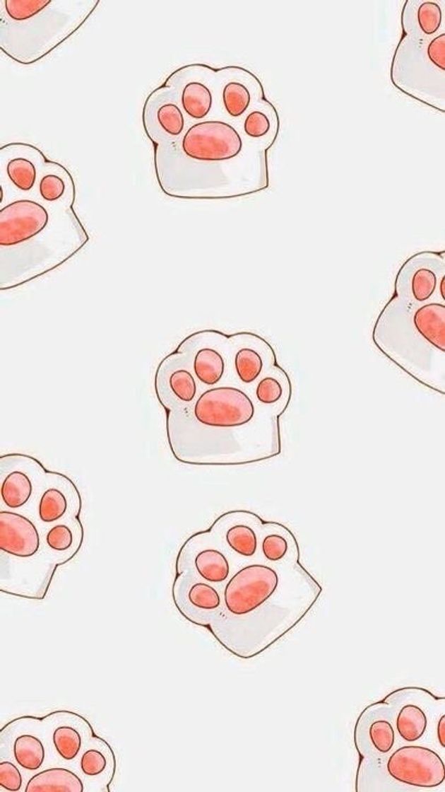 Fashion Cat paws wallpaper 🐾