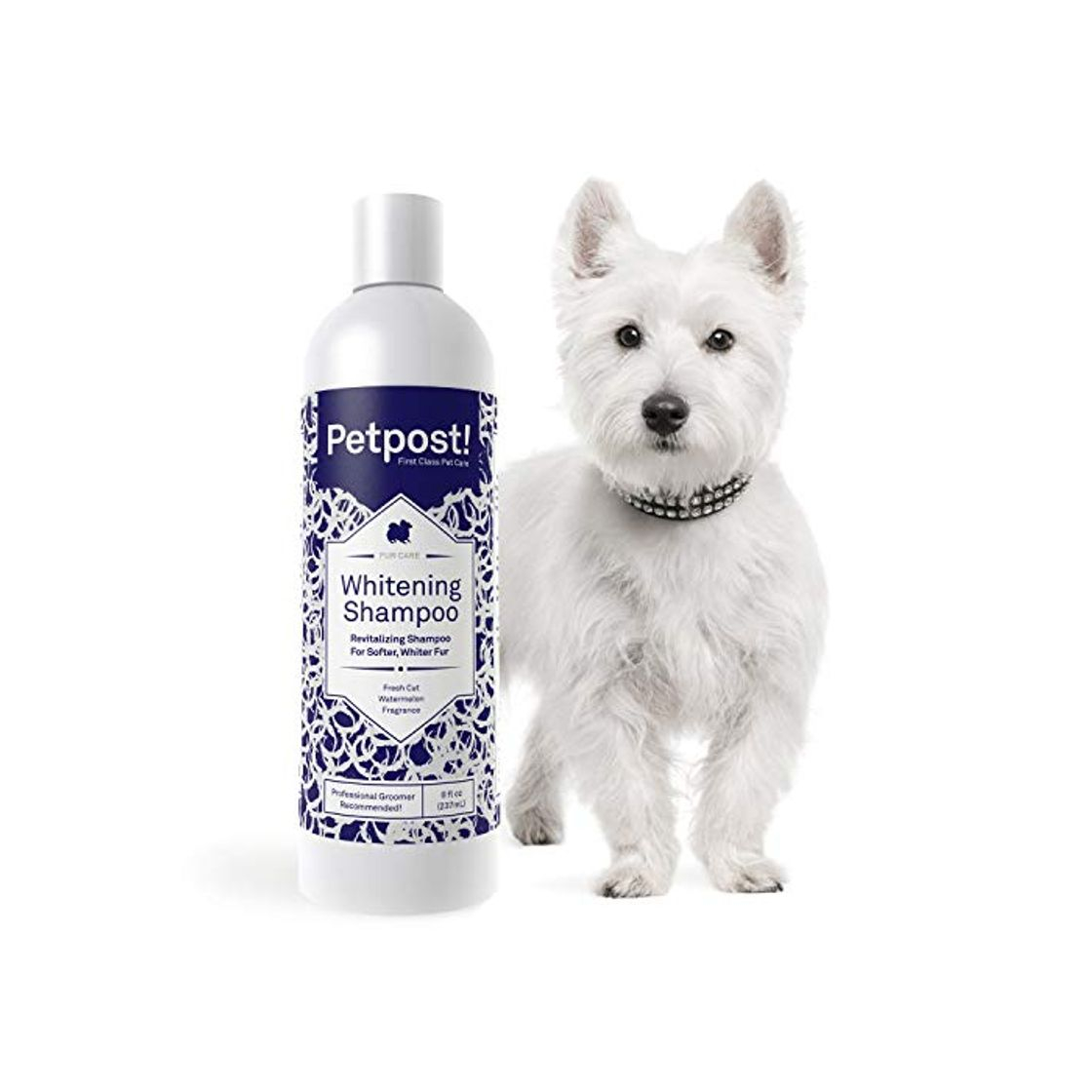 Social Petpost