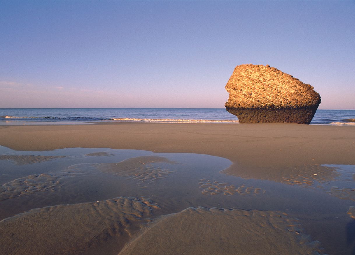 Place Playa de Matalascañas