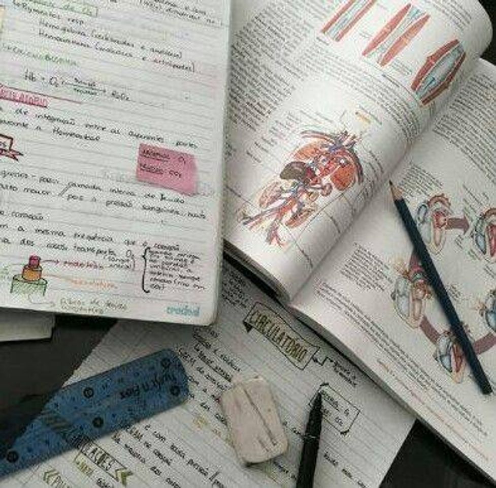 Estudos 🤓