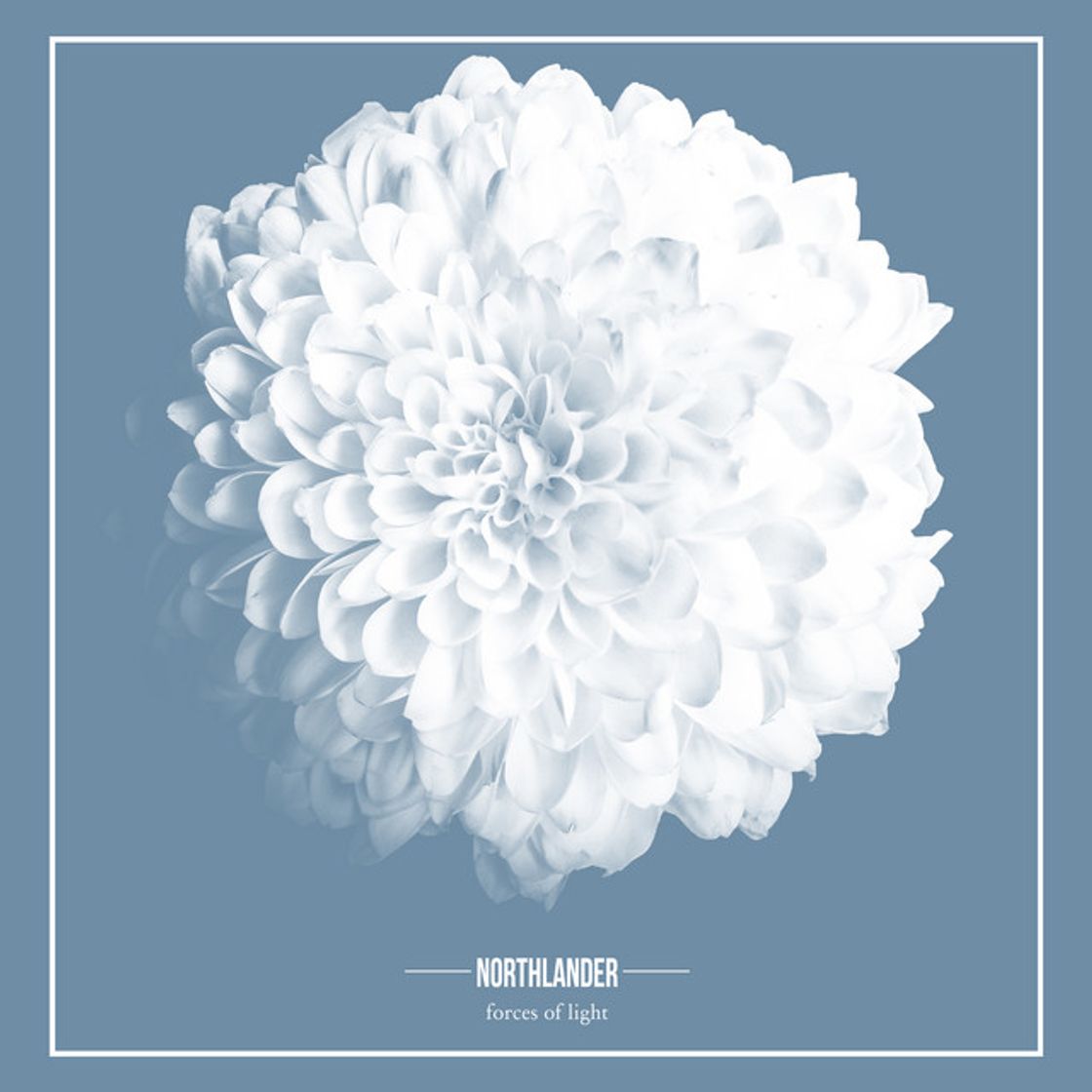 Canción Heavy Fruit