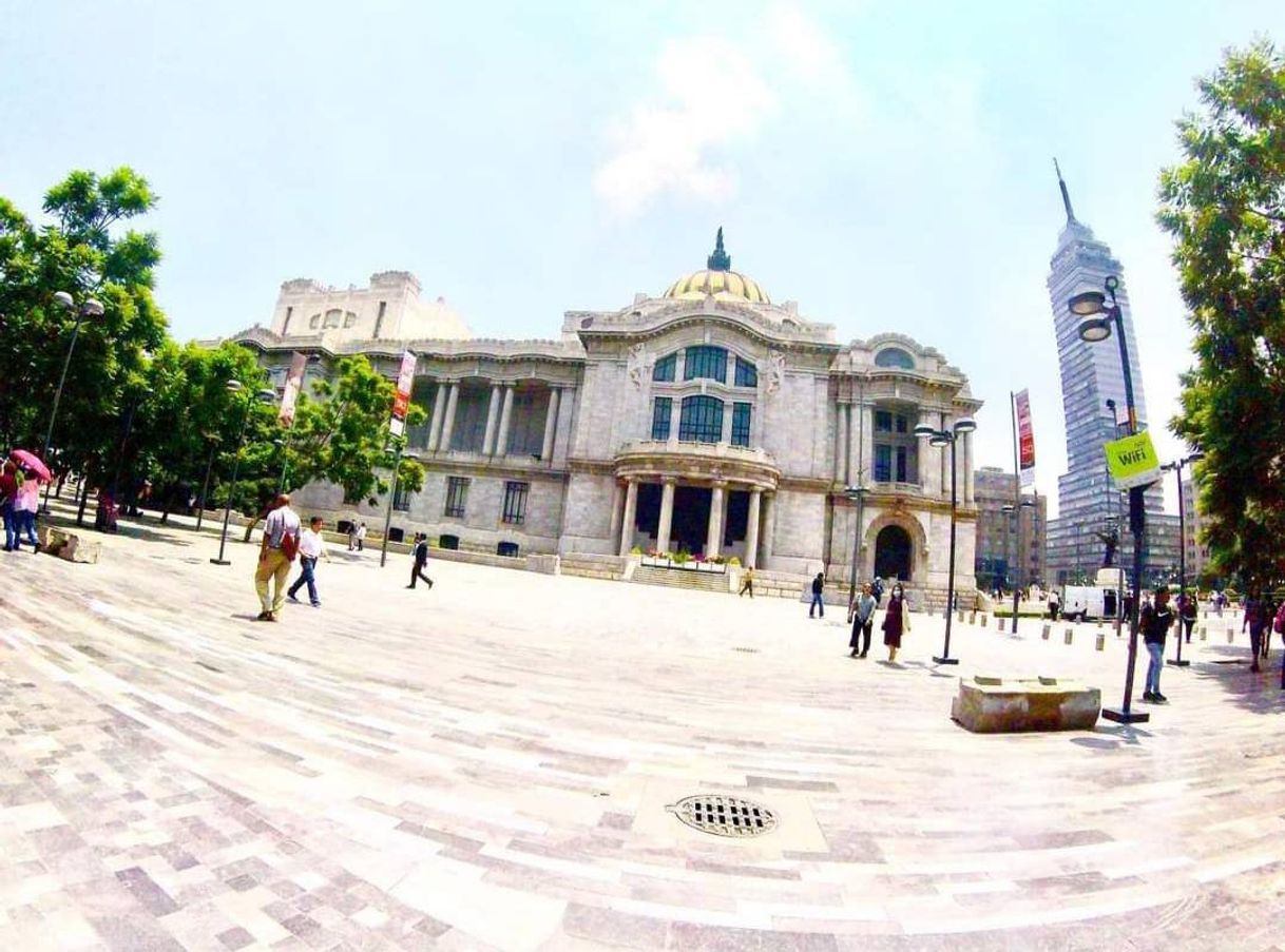 Place Palacio de Bellas Artes