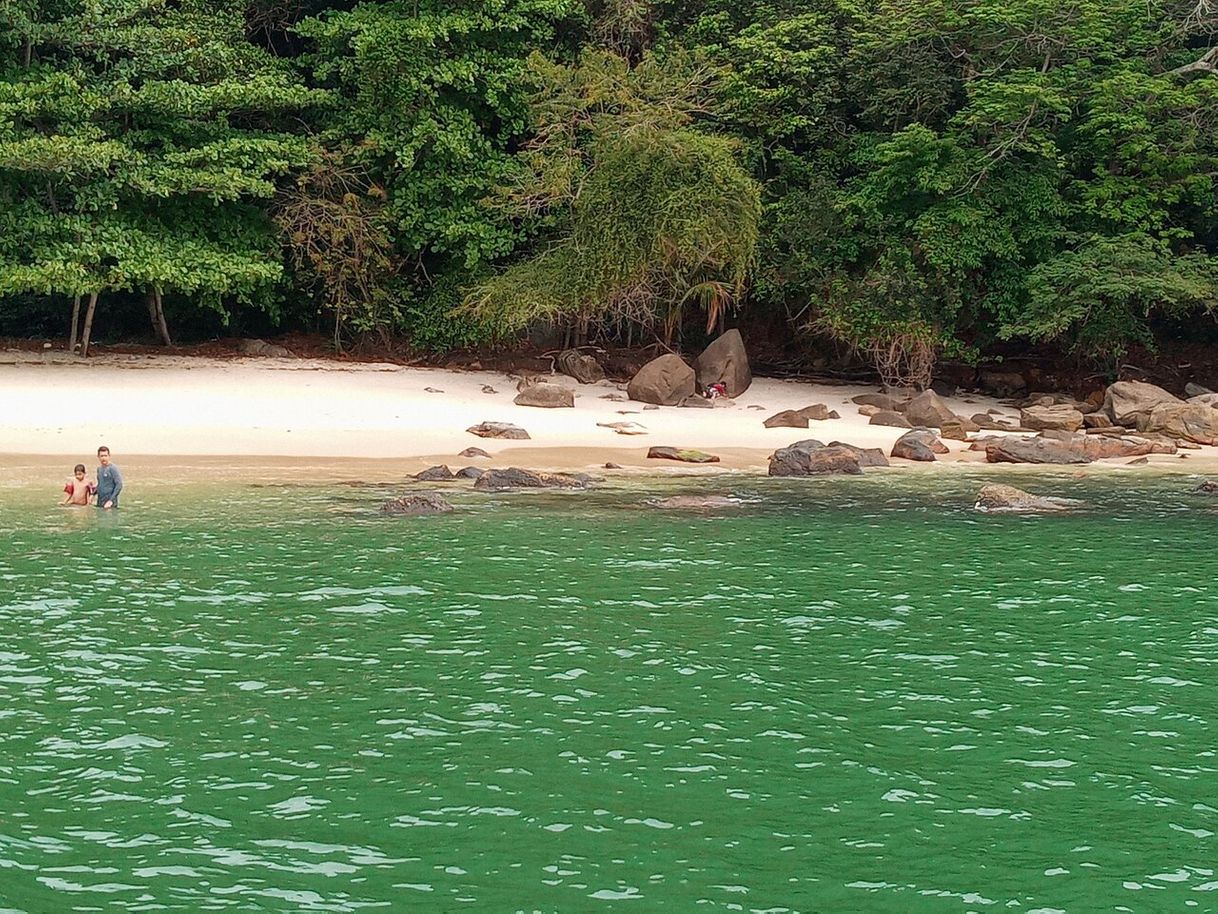 Lugar Ilha Guaíba