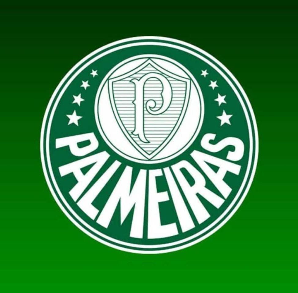 Place Sociedade Esportiva Palmeiras