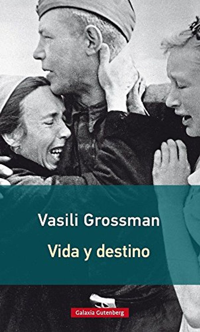 Book Vida y destino- 2016