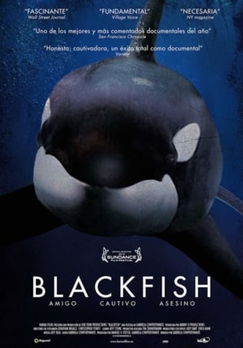 Movie Blackfish