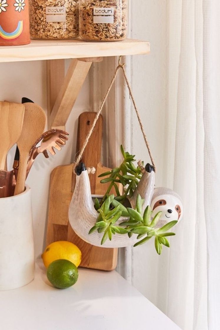 Fashion Hanging Planter 