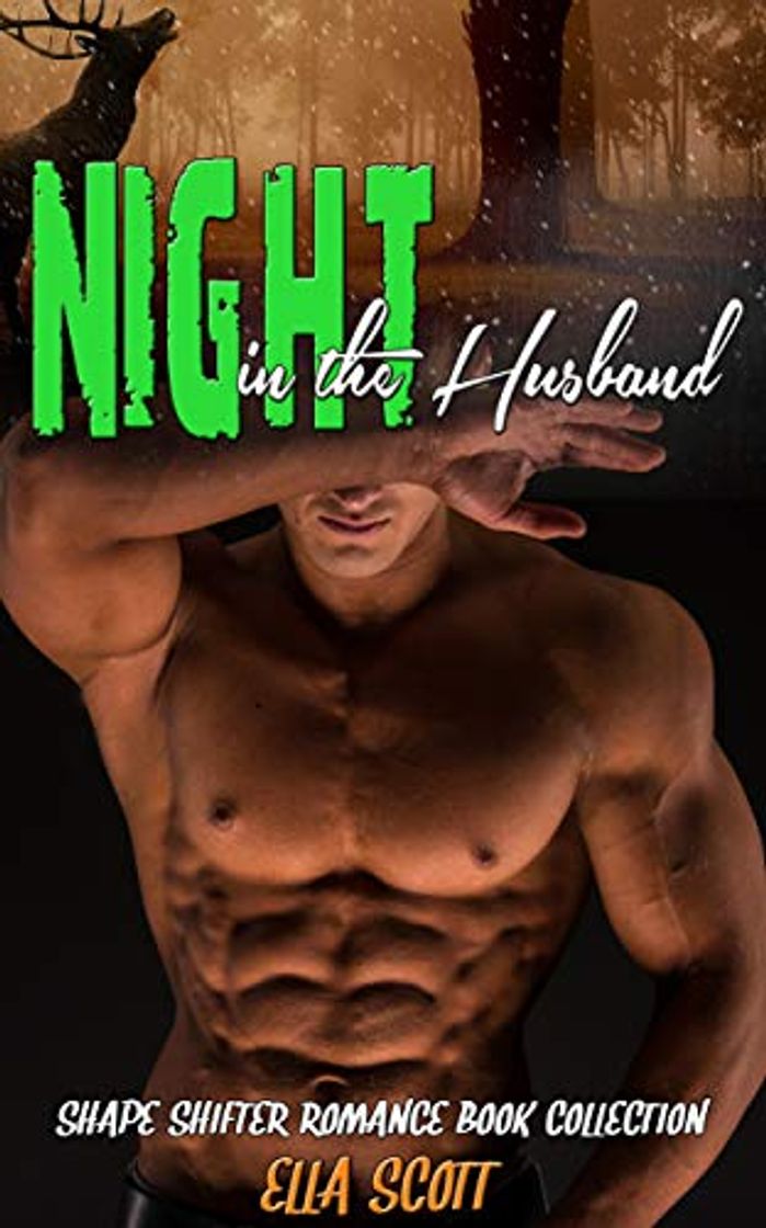 Book Night in the Husband: Shape Shifter Romance Book Collection