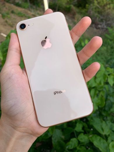 iPhone 8 gold 😍