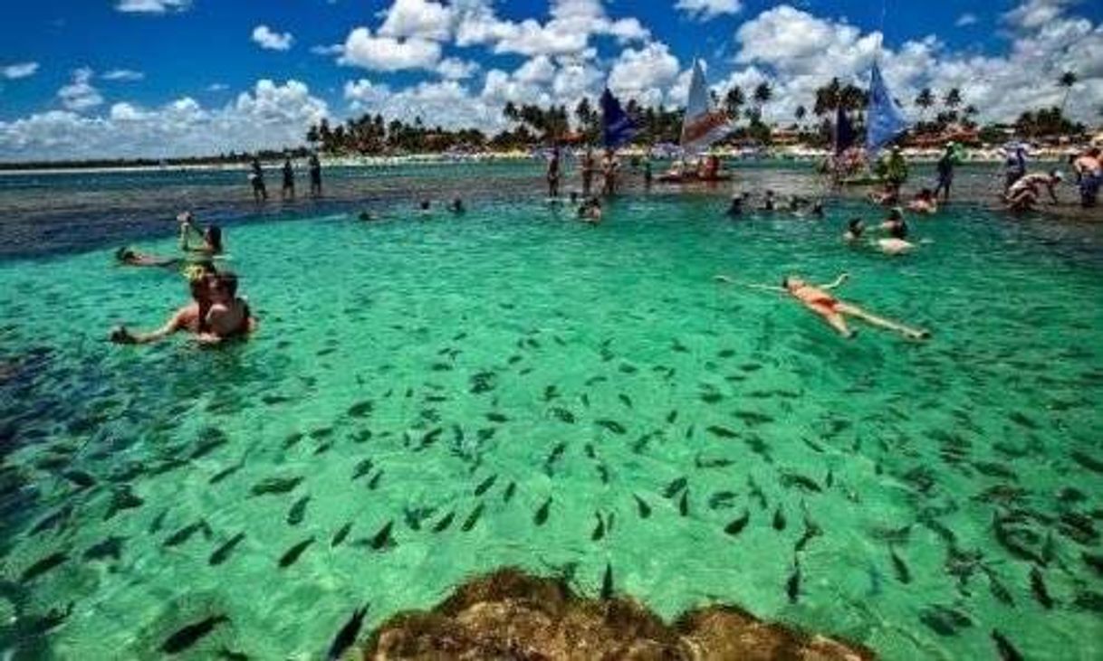 Place Porto de Galinhas